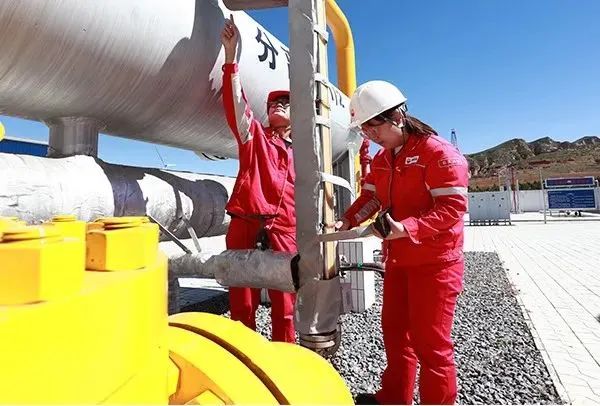 1666331878522599.jpg 1666331878522599.jpg