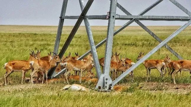 1667181959552804.jpg 1667181959552804.jpg