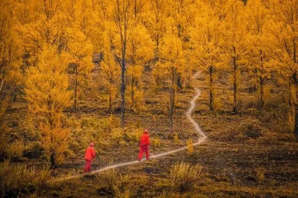 1667182062202114.jpg 1667182062202114.jpg