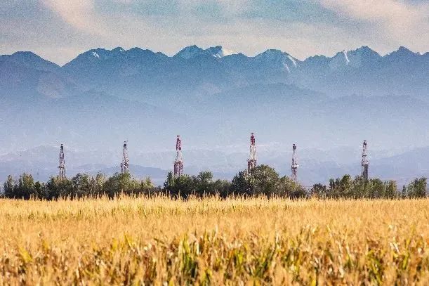 1667182301320328.jpg 1667182301320328.jpg