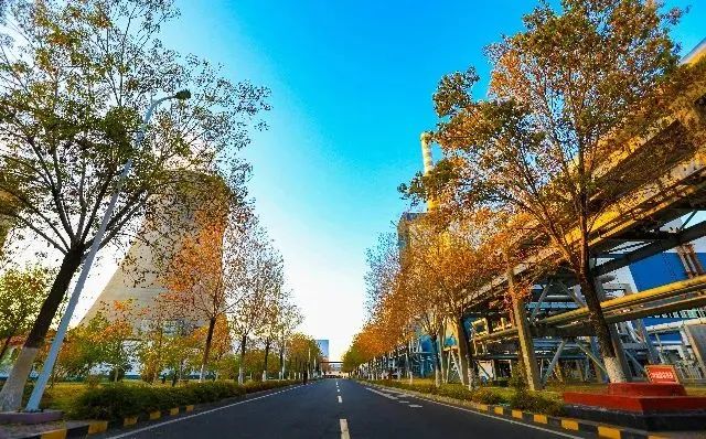 1667183192396674.jpg 1667183192396674.jpg