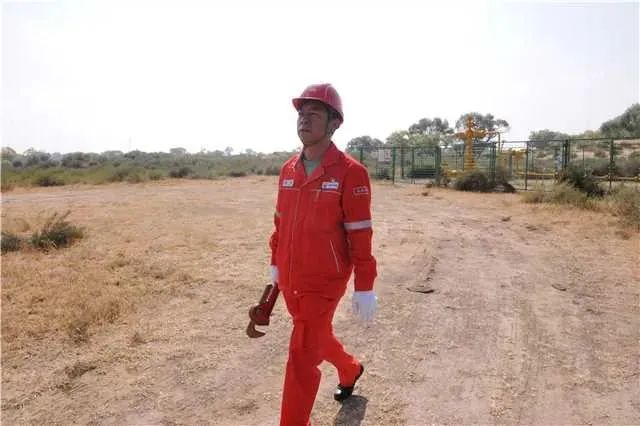 1667268172901580.jpg 1667268172901580.jpg