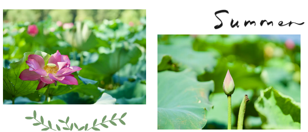 1687655141343756.png 1687655141343756.png