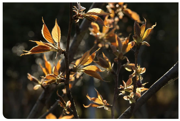 1691637405237980.png 1691637405237980.png