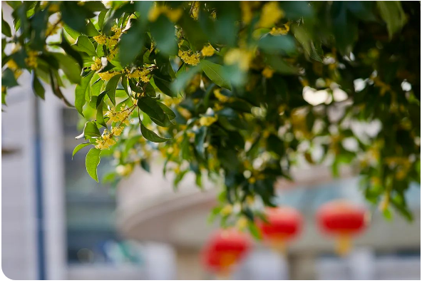 1691652651488438.png 1691652651488438.png