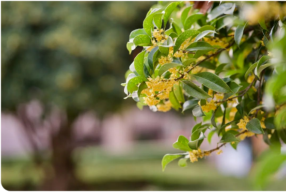 1691652758453556.png 1691652758453556.png