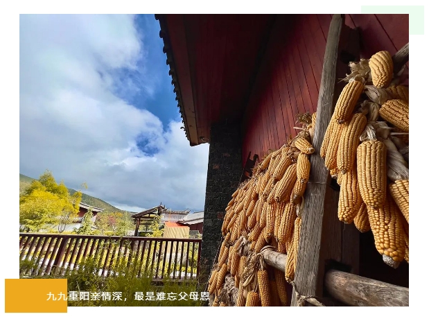 1698736189618882.png 1698736189618882.png