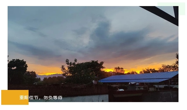 1698736298645825.png 1698736298645825.png