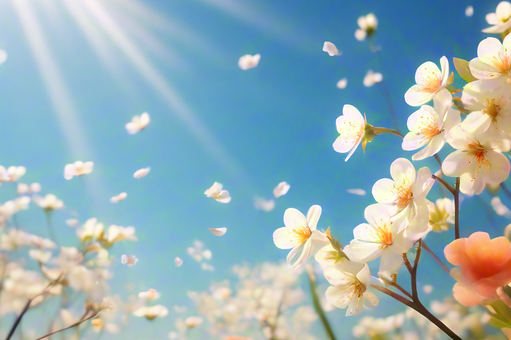 1711420115421652.jpeg 10f5251ae51c40be9d129edd9781379b_2016387332_360AI圖片工具.jpeg