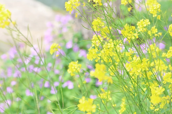 1712901773613130.png 1712901773613130.png