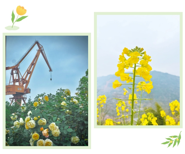 1712901814255516.png 1712901814255516.png