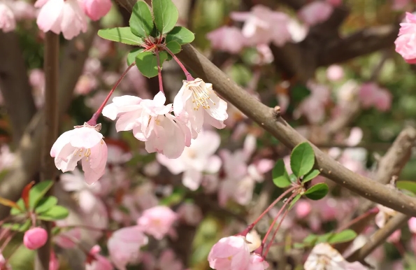 1712901865689754.png 1712901865689754.png