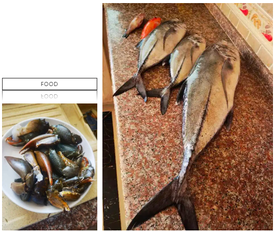 1723172761288025.png 1723172761288025.png