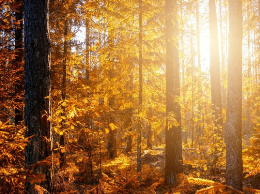 1723429249159927.png 1723429249159927.png