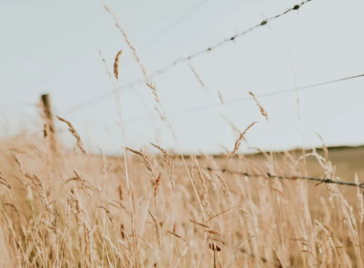 1723429420833349.png 1723429420833349.png