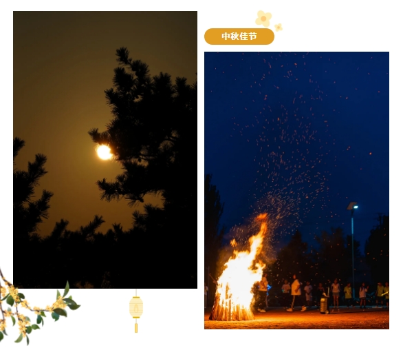 1726623135541753.png 1.png