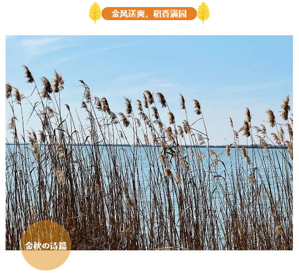 1727055277798934.png 1727055277798934.png