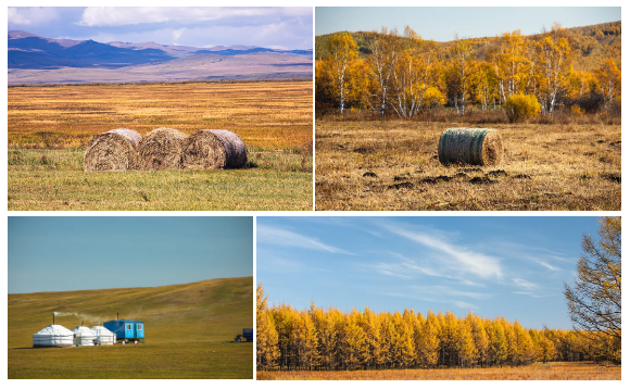 1727055462612028.png 1727055462612028.png