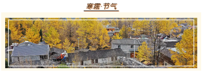 1728365566540950.png image.png