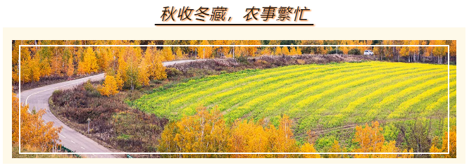 1728365649833968.png image.png