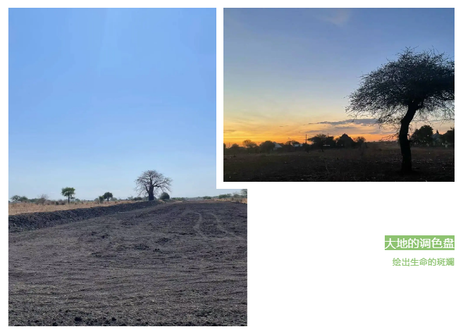 1729560326364613.png 1729560326364613.png